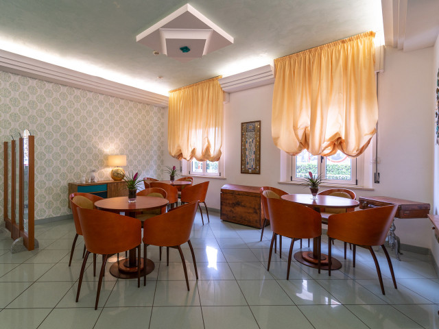 media.pet frinedly 1