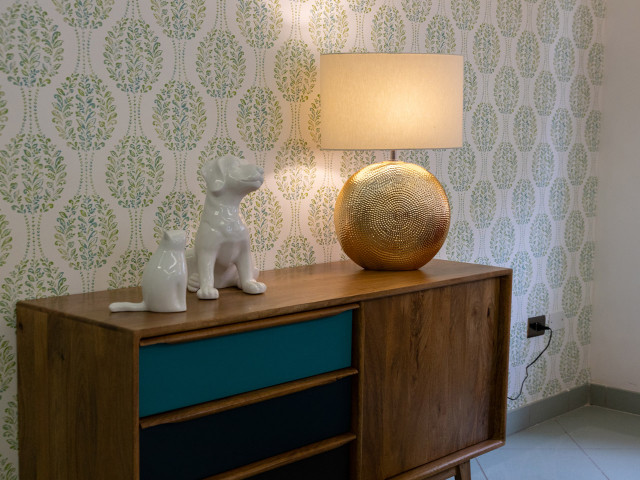 media.pet frinedly 2