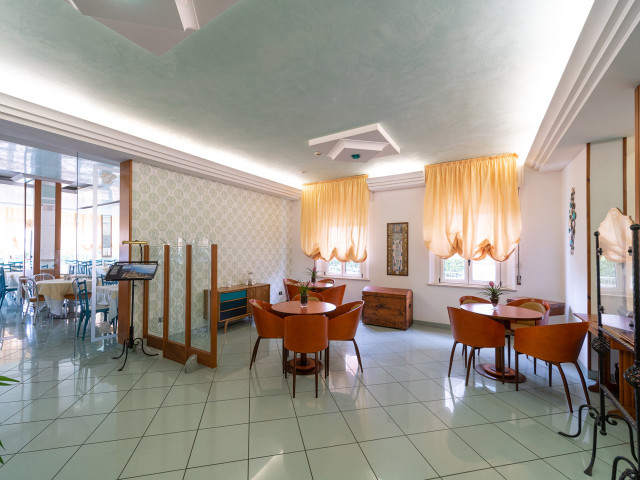 media.pet frinedly 4