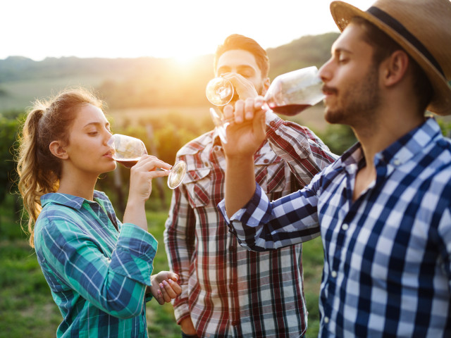 media.gallery esperienze 5