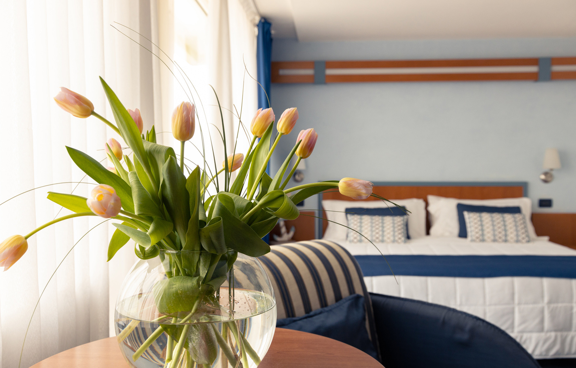 media.dettaglio suite